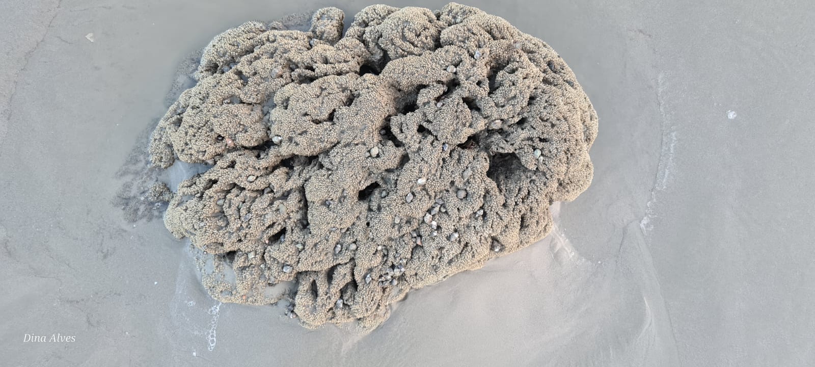 WhatsApp Image 2025-02-18 at 19.22.35 (2)