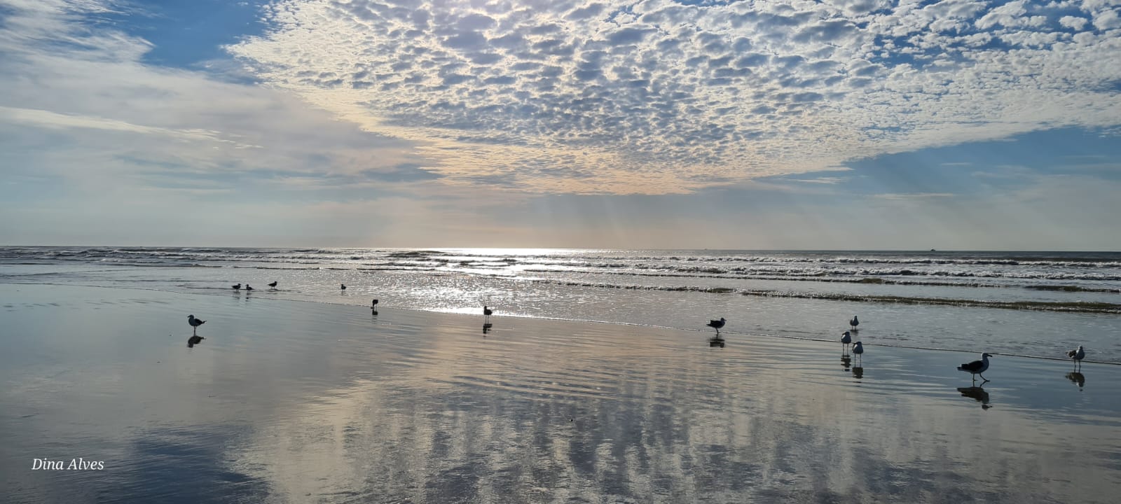 WhatsApp Image 2025-02-18 at 19.22.37 (3)