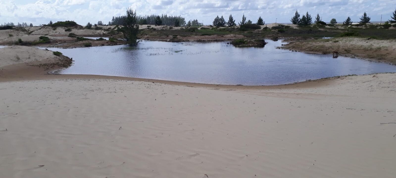 WhatsApp Image 2025-04-24 at 19.37.15 (2)