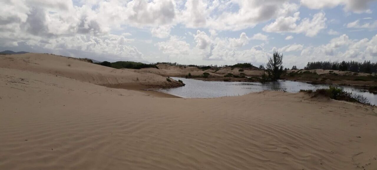 WhatsApp Image 2025-04-24 at 19.37.16 (1)