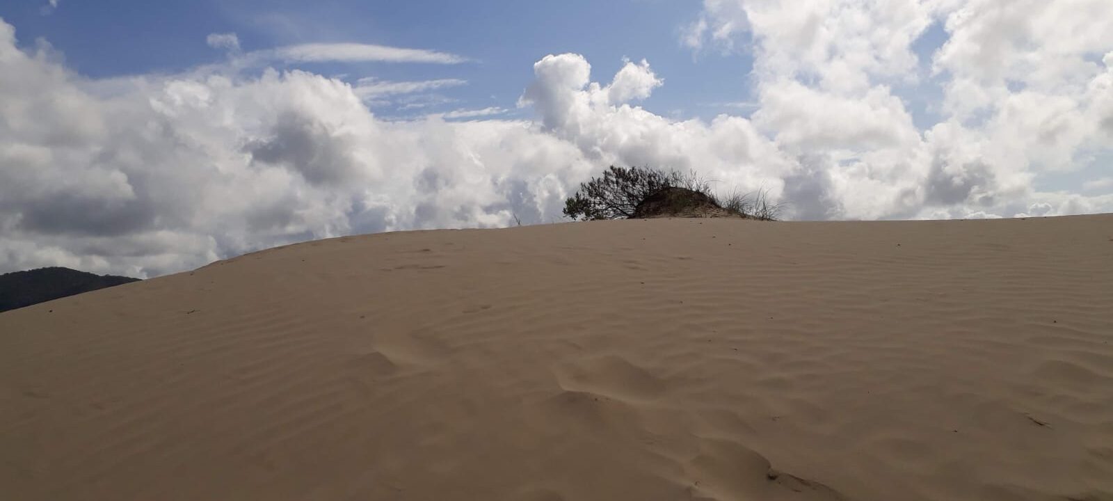 WhatsApp Image 2025-04-24 at 19.37.16 (2)