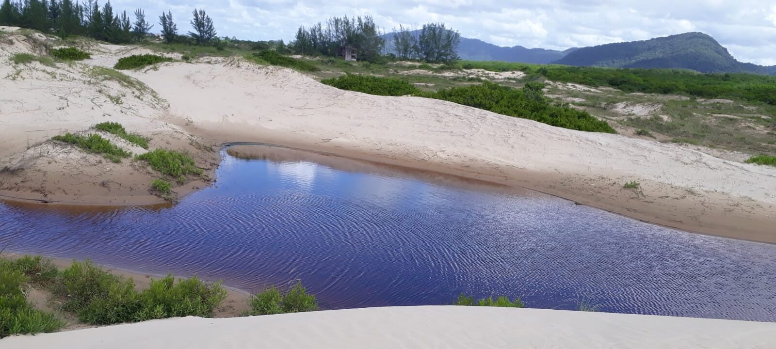 WhatsApp Image 2025-04-24 at 19.37.16